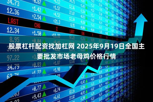 股票杠杆配资找加杠网 2025年9月19日全国主要批发市场老母鸡价格行情